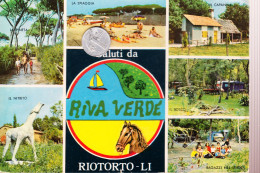 01223 RIOTORTO LIVORNO CAMPING - Livorno
