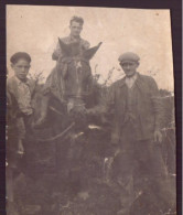 Photo ( 7 X 6 Cm ) " Homme Sur Un Cheval De Trait " - Personnes Anonymes