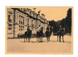 Houyet Pferd Cheval Horse Equitation Chateau D' Ardenne Htje - Houyet