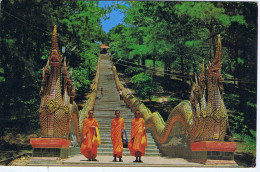 THAILANDE - The Dragon Staircase Of Doi Suthep - CHIENGMAI - Thaïlande