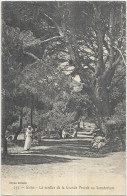 D 83. HYERES. GIENS. LE SENTIER DE LA GRANDE PINEDE AU SANATORIUM.  CARTE ECRITE - Hyeres