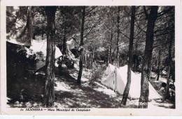 PORTUGAL - SESIMBRA - Mata Municipal De Campismo - Autres & Non Classés