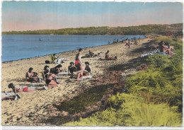 D 83. HYERES. LA CAPTE.  LA PLAGE - Hyeres