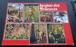 Bonjour Des Ardennes - Quelques Animaux De Nos Forêts - Impressions Combier Mâcon (CIM) - Other & Unclassified