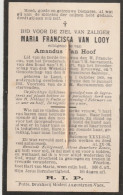 Leest, Putte, Maria Van Looy, Van Hoof, 1931 - Andachtsbilder