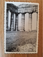 19499.   Fotografia D'epoca 1932 Segesta - 8,5x5,5 - Lieux