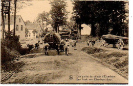 Une Partie Du Village D'Elsenborn Een Hoek Van Elsenborn Dorp Ossenwagen - Autres & Non Classés