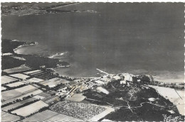 D 83. HYERES. ILE DE PORQUEROLLES. VUE AERIENNE - Hyeres