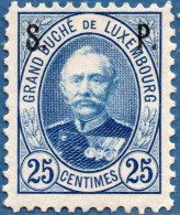 Luxemburg Service 1891 25 C S.P. Overprint (perforated 12:11½) MNH - Officials