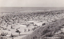 1889	171	Zandvoort, Groeten Uit  - Zandvoort