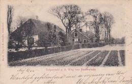 188935Heemstede, Tulpenveld A.d. Weg Van Heemstede (poststempel 1901)   - Altri & Non Classificati