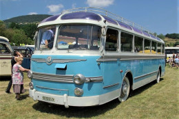 Isobloc Type W149DP (1950)  -  Ancien Autobus   - 15x10cms PHOTO - Buses & Coaches