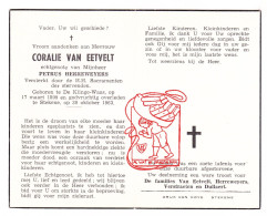 DP Coralie Van Eetvelt ° De Klinge Sint-Gillis-Waas 1899 † Stekene 1963 X Petrus Herreweyers // Verstraeten Dullaert - Andachtsbilder