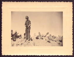 Photo ( 11 X 8 Cm ) " Soldat Au Milieu Des Cactus " Tunisie - Guerre, Militaire