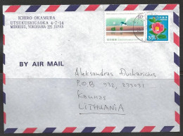 1994 Painting, Disaster Conference, (23.V.94) To Kaunas Lithuania - Storia Postale