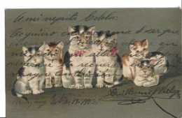 Antigua Postal Felinos - 7528 - Katzen