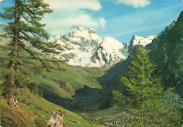 ITALIE - Les Alpes Touristiques - Le Mont Viso (alt 3845 M) Et Le Guil - Carte Postale Ancienne - Cuneo