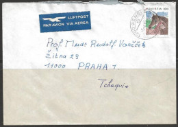 1993 1.00fr Horse, Geneva (6.4.93) To Czechoslovakia - Briefe U. Dokumente