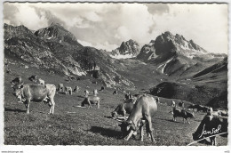 74- L'ETE Dans Les ALPES - Tintement Des Sonnailles Dans L'Air Des Cimes ( Elevage De Vaches En Haute Savoie  ) - Autres & Non Classés