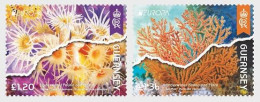 Guernsey.2024.Europa CEPT.Underwater Fauna And Flora.2 V. ** - 2024