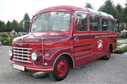 Fiat 615N  Ancien Autobus Menarini  (1954)  - 15x10cms PHOTO - Autobús & Autocar