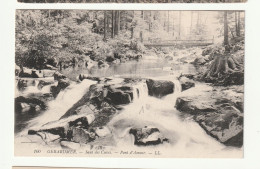 88 . GERARDMER . Saut Des Cuves . Pont D'Amour - Gerardmer