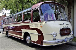 Setra S11 - Ancien Autobus  - 15x10cms PHOTO - Bus & Autocars