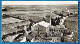 * Petite Photo 7x13 Pédagogique - 34 - VENDRES - La Vigne Dans Le Languedoc - Plaatsen