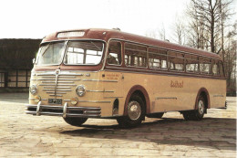 Bussing 6000T (1952)  - Ancien Autobus  - 15x10cms PHOTO - Bus & Autocars