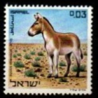 ISRAEL    -      âne *.  Hémione - Donkeys