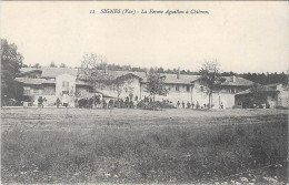 SIGNES - La Ferme Aguillon à Chibron - Autres & Non Classés