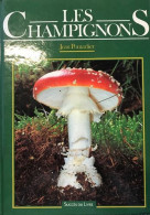 Les Champignons - Sonstige & Ohne Zuordnung