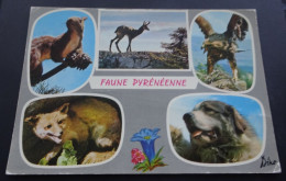 Faune Pyrénéenne - Edition Et Cliché Paul Goudin, Font-Romeu - Andere & Zonder Classificatie