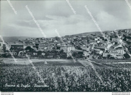 Bi88 Cartolina Orsara Di Puglia Panorama Provincia Di Foggia - Foggia