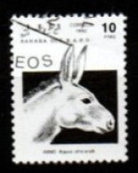 SAHARA  OCCIDENTAL   -  âne Oblitéré - Donkeys