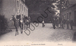Postkaart - Carte Postale - Donk - Les Eucries Du Donck - Paarden (C6100) - Brasschaat