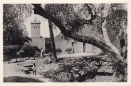 Algérie - Biskra - Mosquée Bab El Darb - Biskra