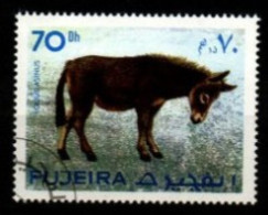 FUJEIRA    -     âne     ,oblitéré . - Donkeys