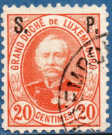 Luxemburg Service 1891 10 C S.P. Overprint (perforated 12x11½) MH - Service