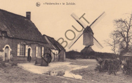 Postkaart - Carte Postale - Schilde - Heidemolen  (C6071) - Schilde