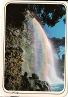 NICE - La Cascade Du Château - Sonstige & Ohne Zuordnung