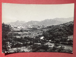 Cartolina - Tempio ( Treviso ) - Panorama - 1940 Ca. - Treviso