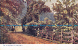 R106041 The Bulli Pass. South Coast. B. Hopkins - Monde