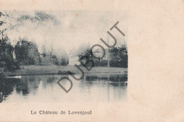 Postkaart - Carte Postale - Lovenjoel/Bierbeek - Le Château  (C6093) - Bierbeek