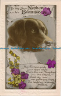 R106093 Greeting Postcard. To My Dear Nephew On His Birthday. A Dog - Welt