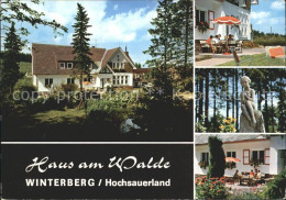 72231180 Winterberg Hochsauerland Hotel Pension Haus Am Walde Skulptur Winterber - Winterberg
