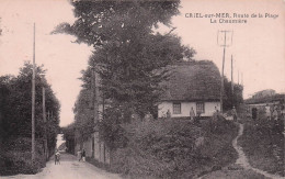 Criel Sur Mer - Route De La Plage - La Chaumiere   - CPA °J - Criel Sur Mer