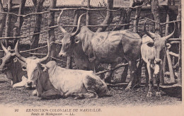 MADAGASCAR(EXPOSITION COLONIALE MARSEILLE) - Madagascar