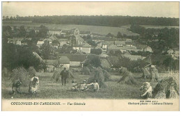 02.COULONGES EN TARDENOIS.n°25689.VUE GENERALE - Other & Unclassified