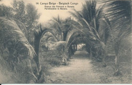 ZAC BELGIAN CONGO   PPS SBEP 42 VIEW 14 UNUSED - Entiers Postaux